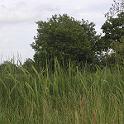 P6232333