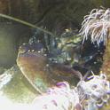P9012995