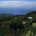 IMG_0125