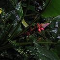IMG_0142