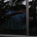IMG_0151