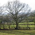 IMG_0270