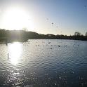 IMG_0291