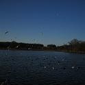 IMG_0296
