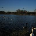 IMG_0297