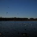 IMG_0298