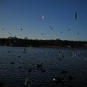 IMG_0299
