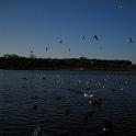 IMG_0300