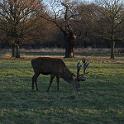 IMG_0305