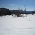 IMG_0786