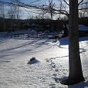 IMG_0938
