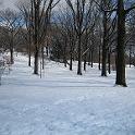 IMG_1139