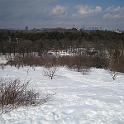 IMG_1155