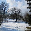 IMG_1164