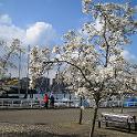 IMG_1284