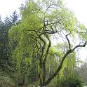 IMG_1381