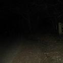 IMG_1866