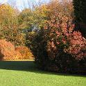 IMG_0191