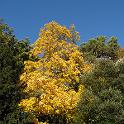 IMG_0204