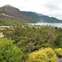 IMG_0229