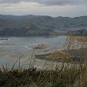 IMG_0429
