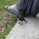 IMG_0475