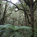 IMG_0651