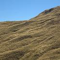 IMG_0833