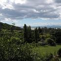 IMG_0895