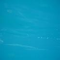 IMG_3040