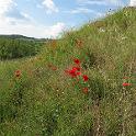 IMG_0111