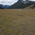 IMG_0038