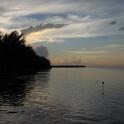 IMG_0082