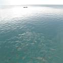 IMG_0051