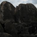 IMG_0820