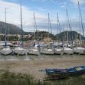IMG_2246