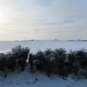 IMG_0166