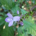 IMG_0469