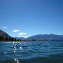 IMG_1938