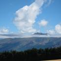IMG_1541