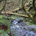 IMG_1964