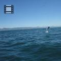 MVI_2102
