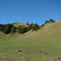 IMG_2847