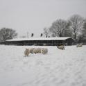 IMG_0980