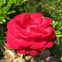 IMG_6058