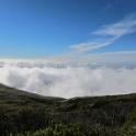IMG_7599