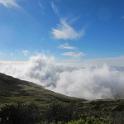IMG_7605