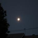IMG_8559