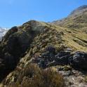 IMG_8146