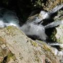IMG_8225